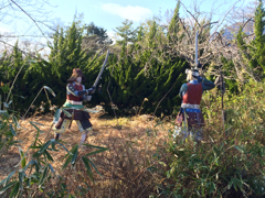 関ヶ原ウォーランド「激突」 (1)