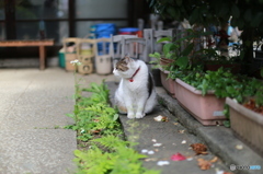 彼女来た！