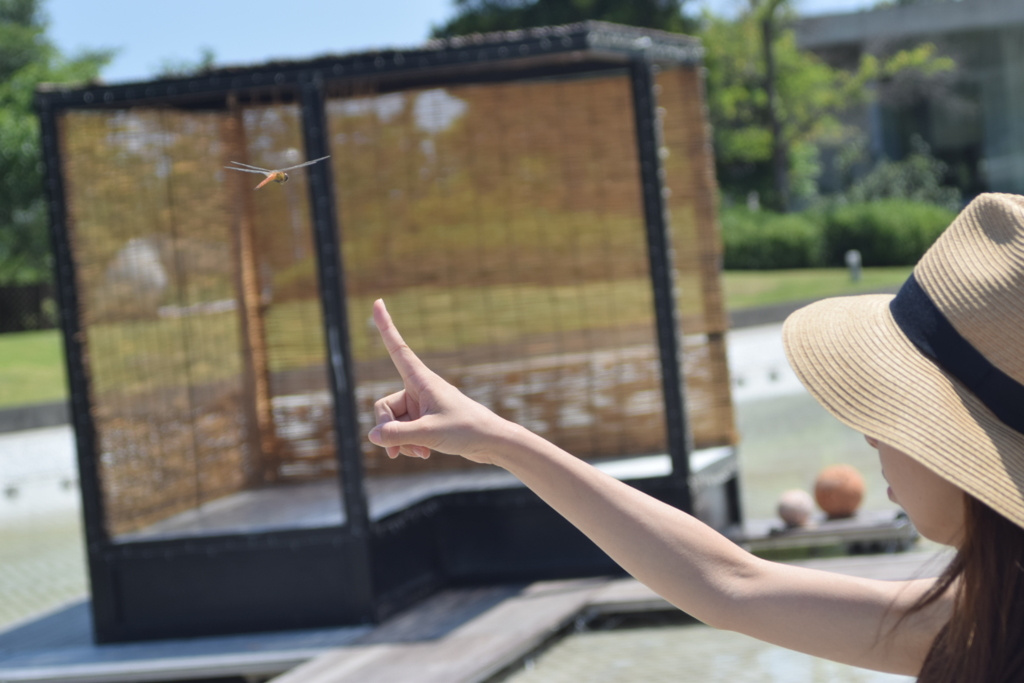 夏の一時