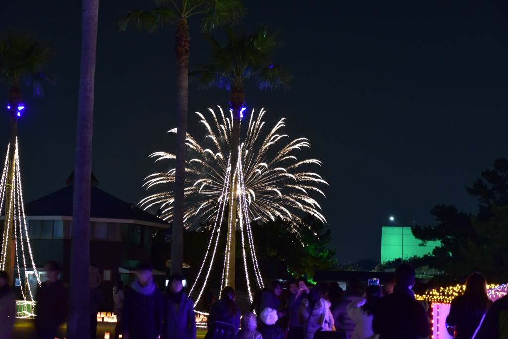 イルミネーションに咲く花火