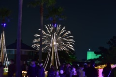 イルミネーションに咲く花火