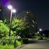 夜道