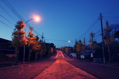 黄色の道しるべ