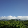 山景