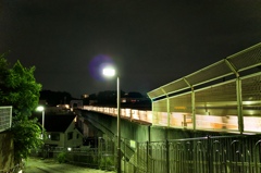 夜の電車