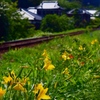 線路沿いにて