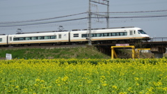 近鉄特急アーバンライナーと菜の花