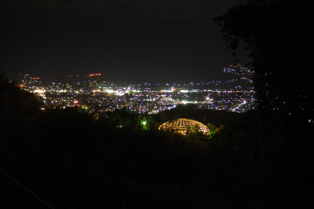 夜の丘から