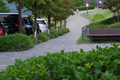 公園風景画