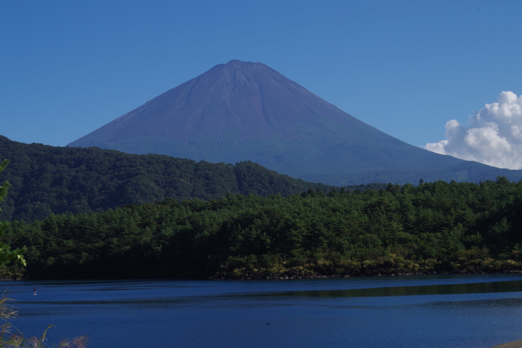 今日の富士山快晴。