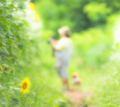 大きくなれなかった～