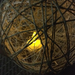 夏休みの小学校で