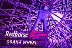 Redhorse OSAKA WHEEL
