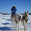 雪上を喜んで