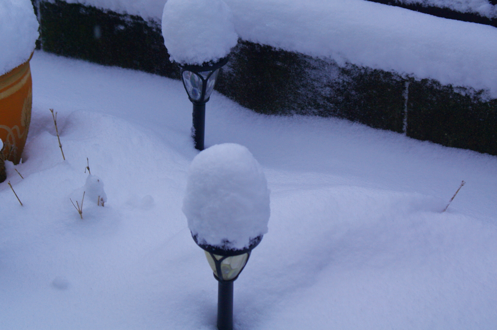 雪積る
