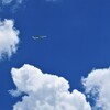 夏空に飛ぶ