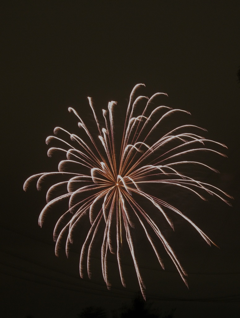 遠くの花火3