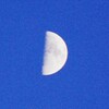 上弦の月(9月30日)