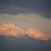 電線の向こうの白き雪山