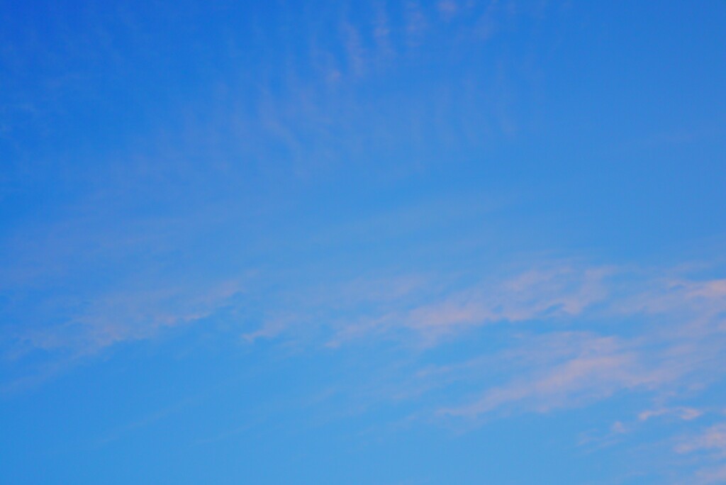 秋雲