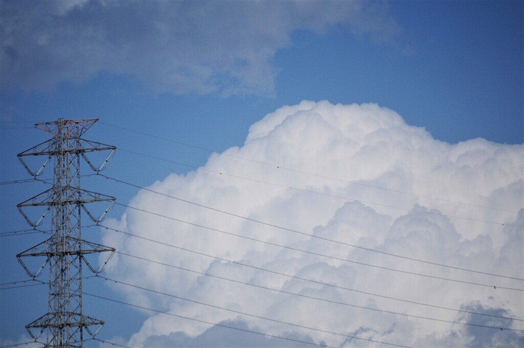 春雷が過ぎて…夏への扉