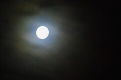 雲間より…16夜？