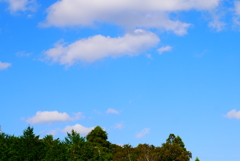 秋空