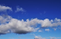 台風からの贈り物