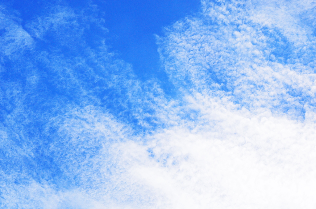 すっかり「秋の空」
