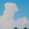 露出オーバー！