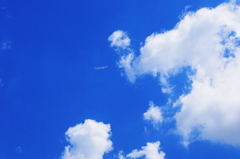 雲百態…雲に突入
