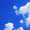 雲百態…雲に突入