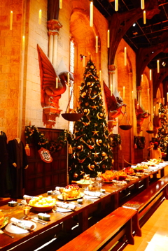 もっと載せちゃえ！⑨