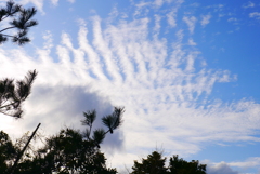 秋雲2