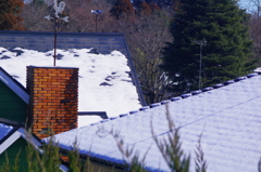 寒さに震える「風見鶏」