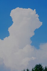 夏雲復活