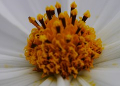P1150645