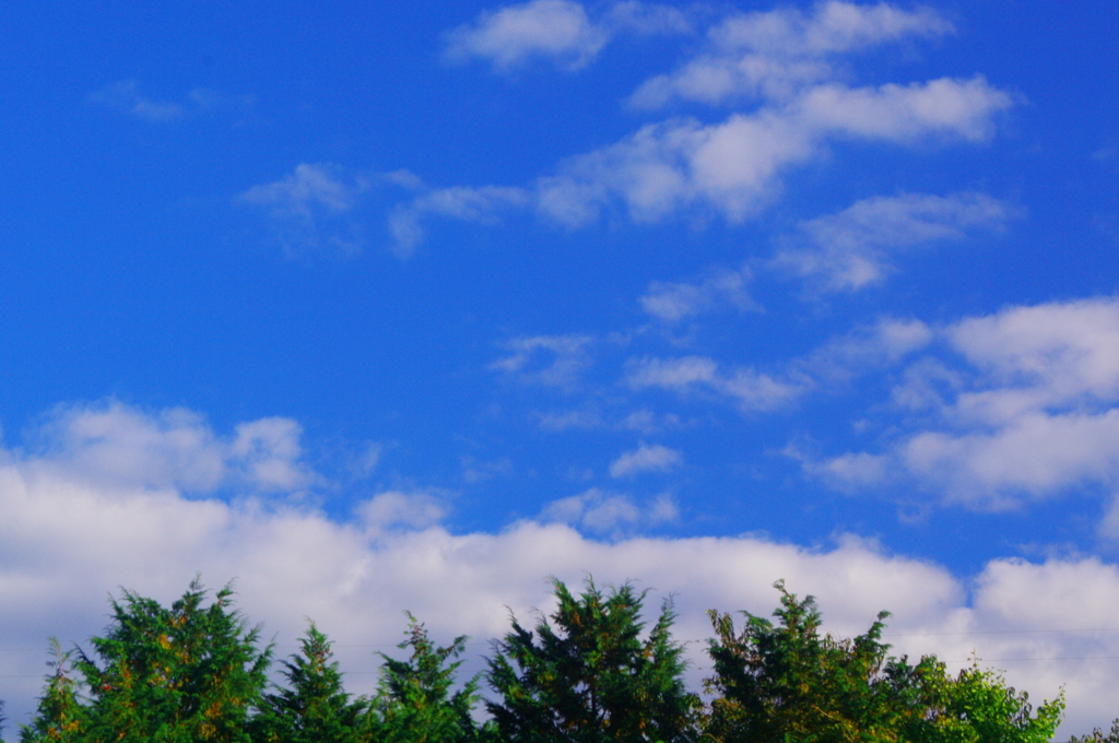 雲百態67…晩秋の空