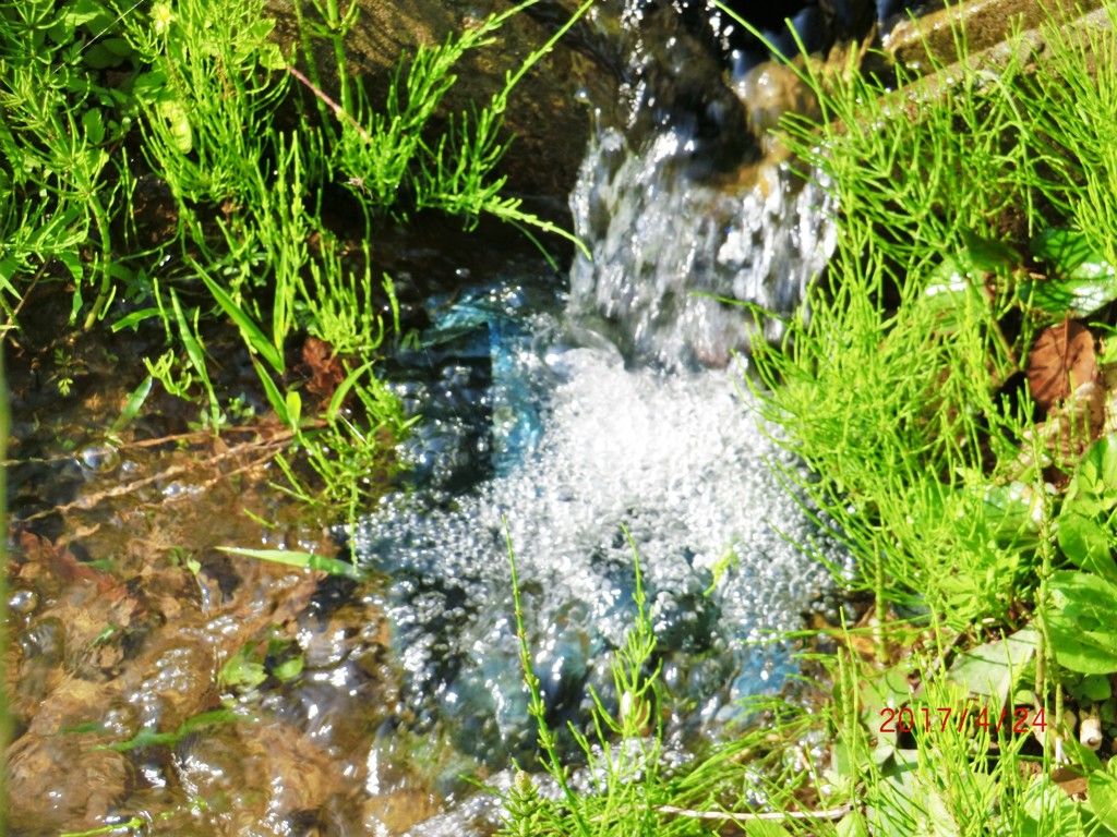 私の好きな里山　水ぬるむ