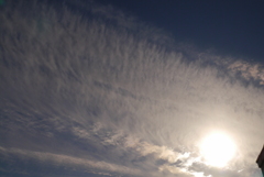 冬空？　　秋の雲みたい