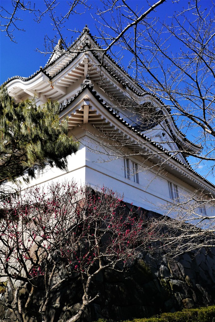 城見物
