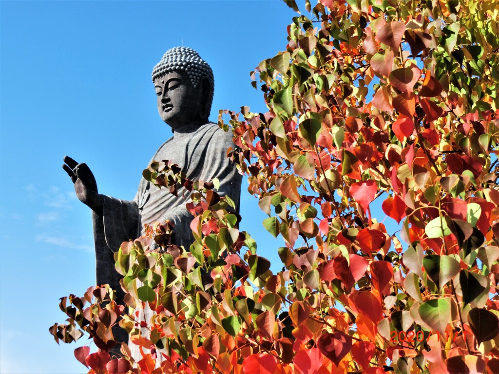 秋の大仏様