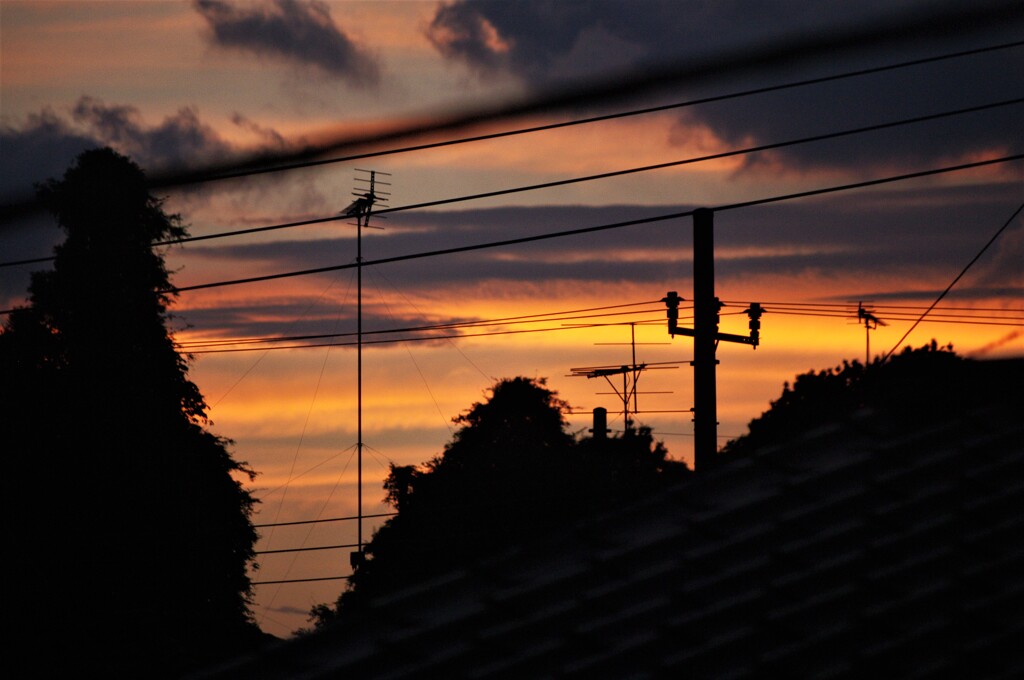 夕暮れ2