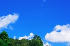 雲百態…定点観測