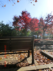 木枯らしのベンチ