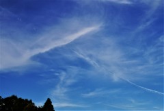 秋空？を突き抜ける。