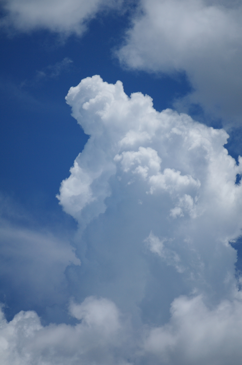 今は雄大積雲だけど…