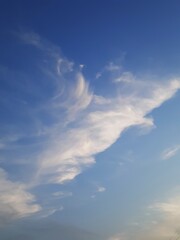 雲百態㊶…「羽ばたく」