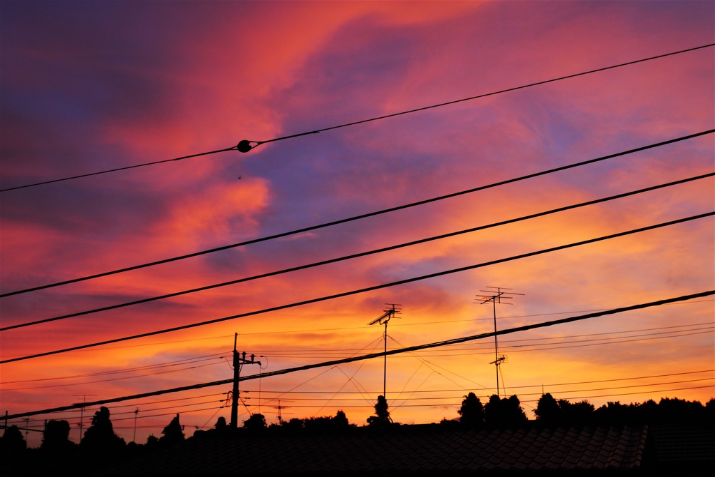 夕焼ける