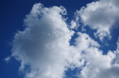 今日も30℃越え